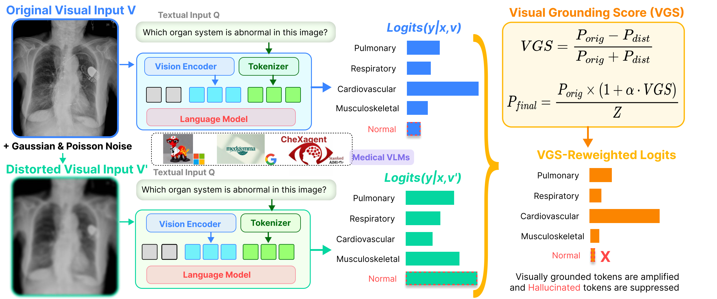 The same question and answer prefix are processed with an original image and a perturbed image. Two independent model caches produce probability distributions. Their normalized difference gives VGS, which reweights the clean distribution to select the next token.